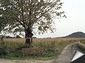 Aujourd'hui